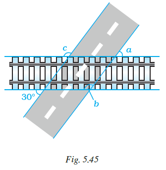 Page 143 Chapter 5 Class 7th NCERT Exemplar Page 143 Chapter 5 Class 7th NCERT Exemplar